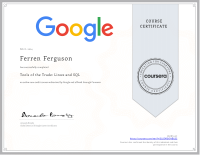 Google Cyber Security Certificate